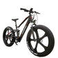 EU Warehouse Electric E Bike 1000W 26 Inch Fat Tire Electric Bicycle Ebike For Adults 48V 17AH SHIMANO 9Speed Mountain City Bike