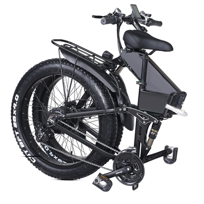 Folding Bike1000w E Bike 750w 20 Inch 48v Fat Tire 20x4.0 15AH 17AH Ebike SHIMANO Dual Disc Brake Fold Bike